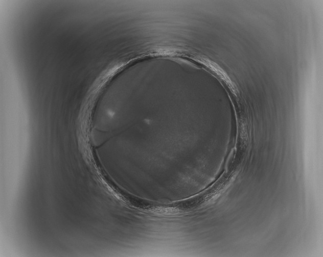 X0000115340577200911091307