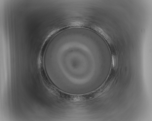 X0000115340579200911091307