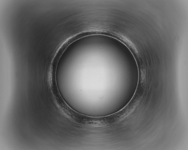 X0000115340580200911091307