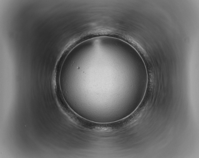 X0000115340582200911091307