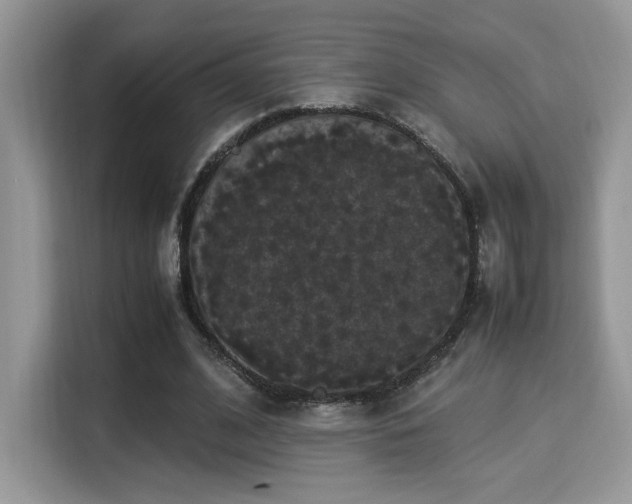 X0000115340584200911091307