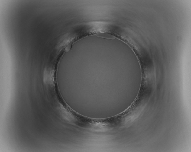 X0000115340585200911091307