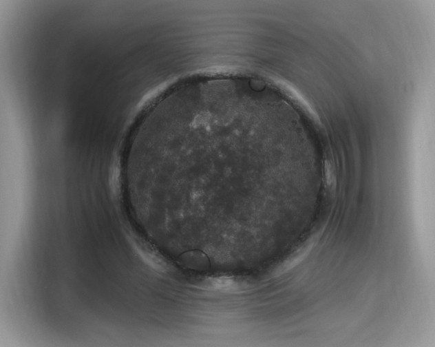 X0000115340588200911091307