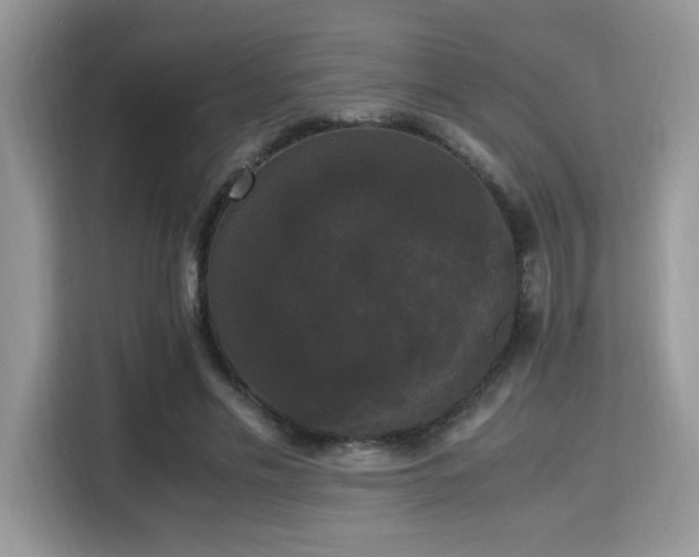 X0000115340589200911091307
