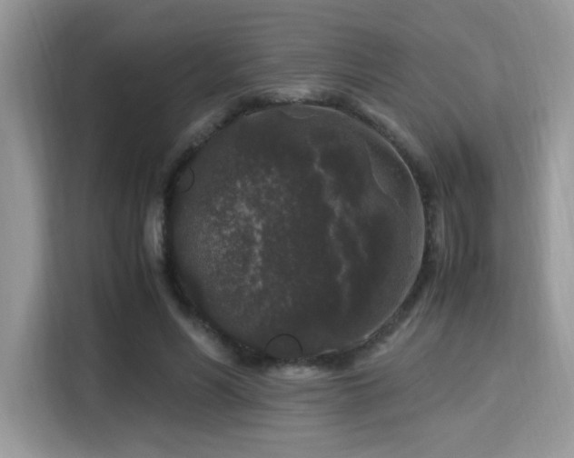 X0000115340590200911091307