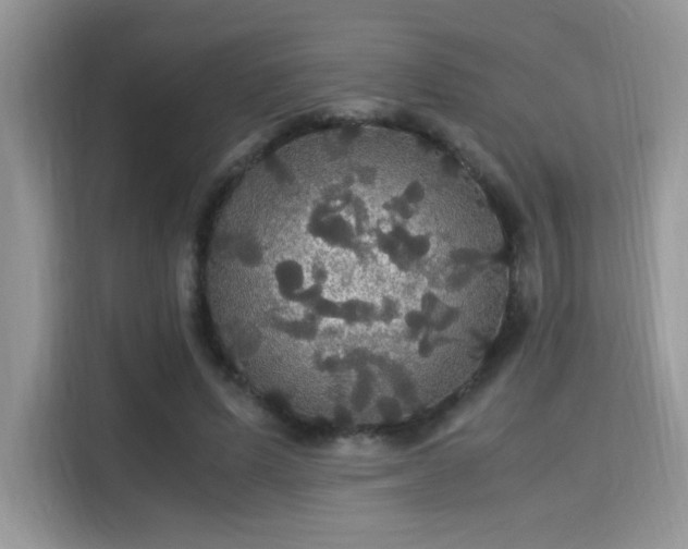 X0000115340591200911091307