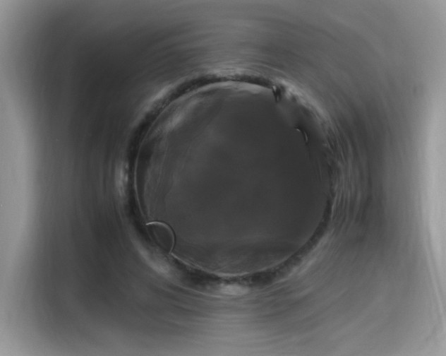 X0000115340592200911091307