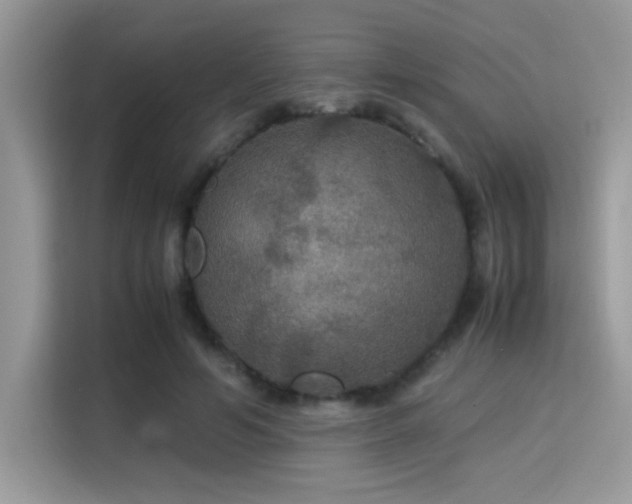 X0000115340594200911091307