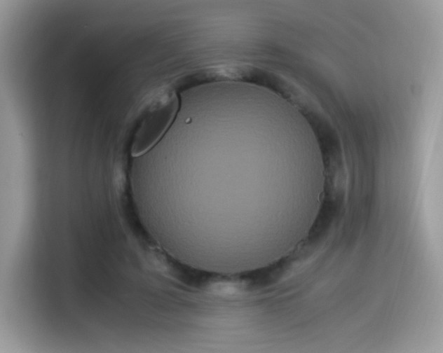 X0000115340595200911091307