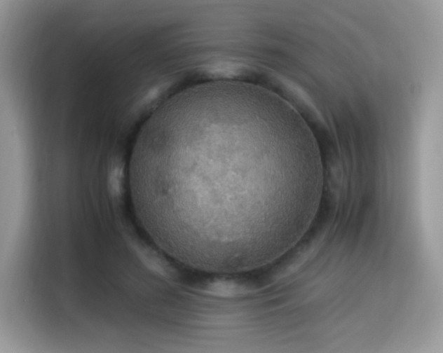 X0000115340596200911091307