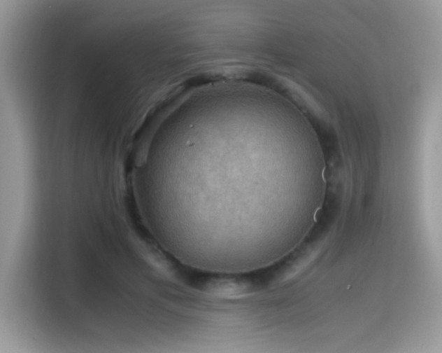 X0000115340597200911091307
