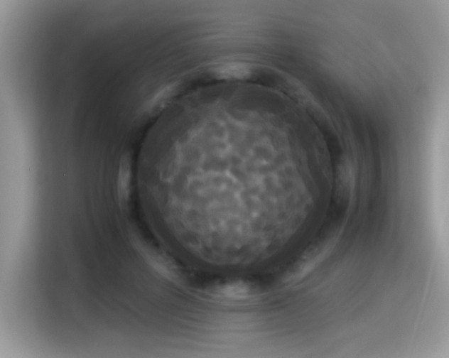 X0000115340600200911091306