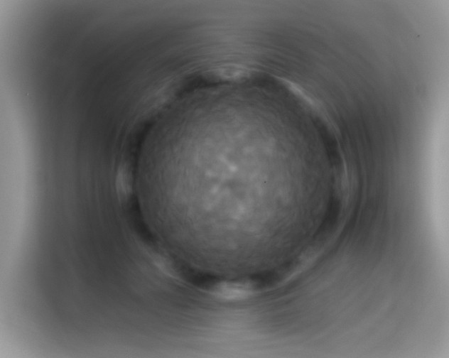 X0000115340606200911091306