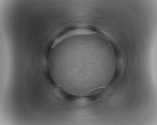 X0000115340609200911091306