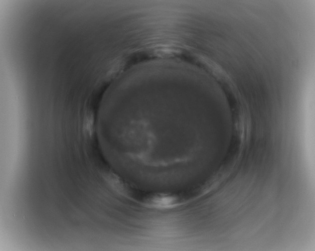 X0000115340610200911091306