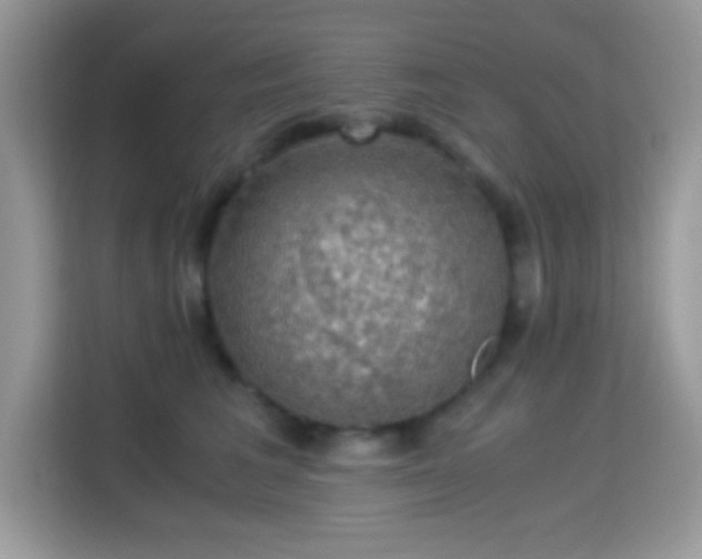 X0000115340613200911091306