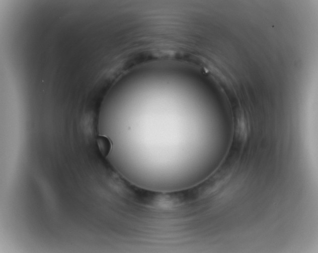 X0000115340616200911091306