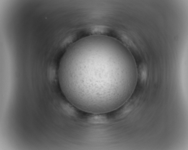 X0000115340619200911091306