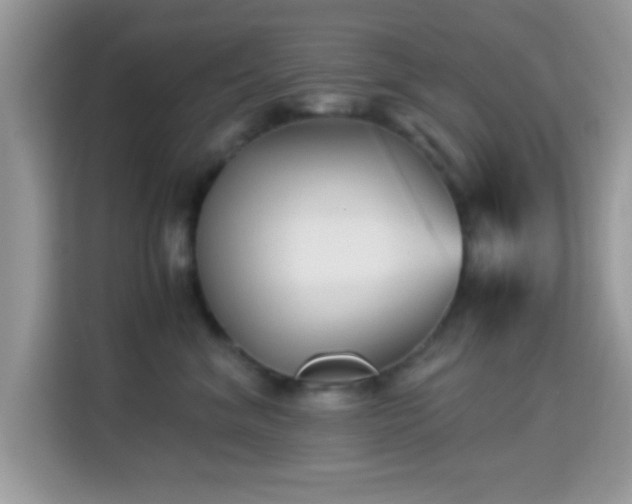 X0000115340620200911091306