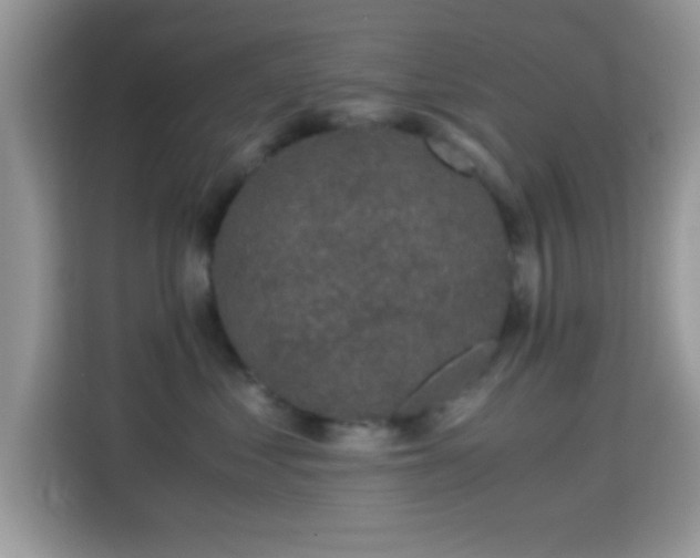 X0000115340621200911091306