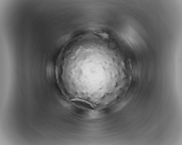 X0000115340623200911091306