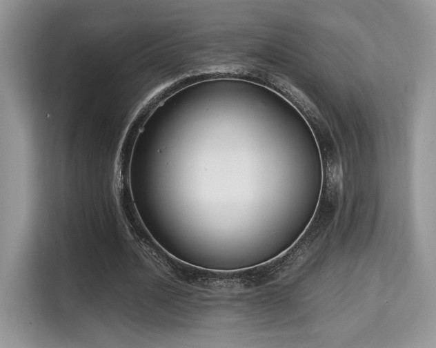 X0000115340628200911091306