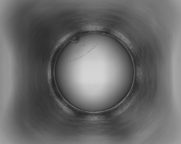 X0000115340629200911091306