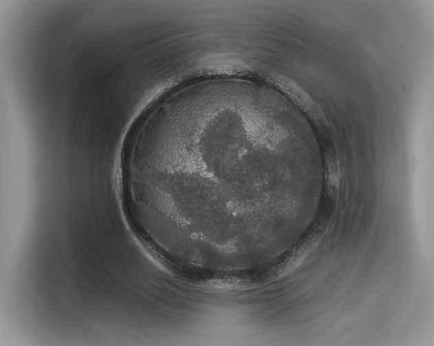 X0000115340630200911091306