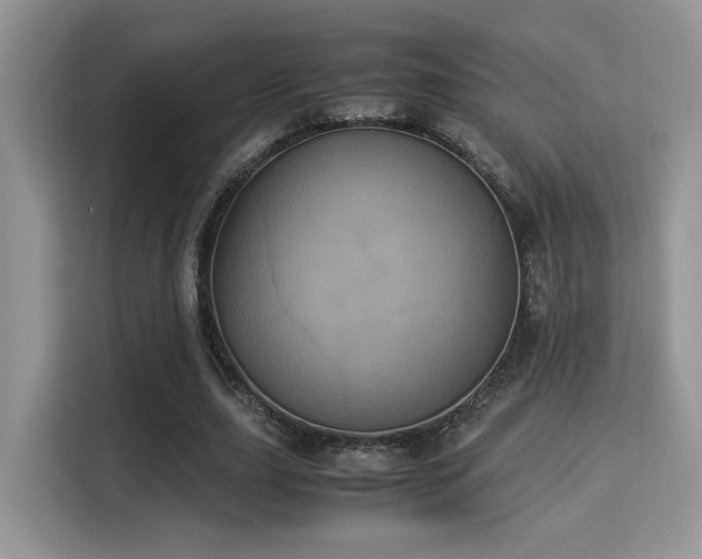 X0000115340631200911091306