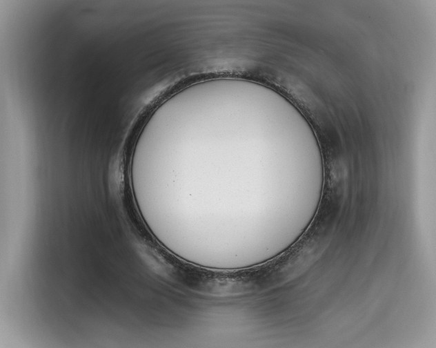 X0000115340632200911091306