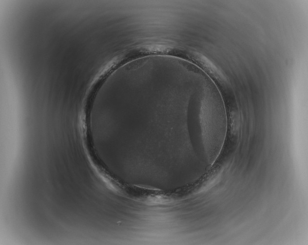X0000115340634200911091306
