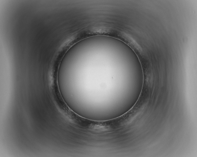 X0000115340635200911091306