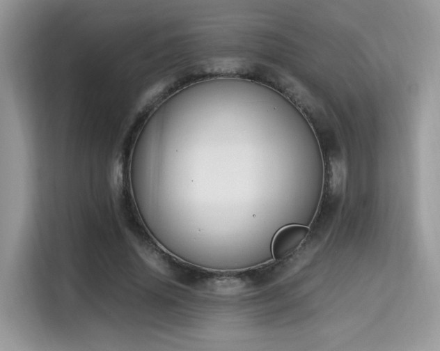 X0000115340636200911091306