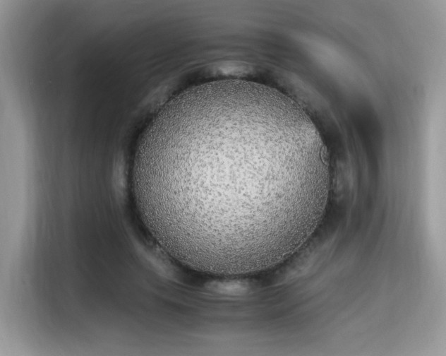 X0000115340639200911091306