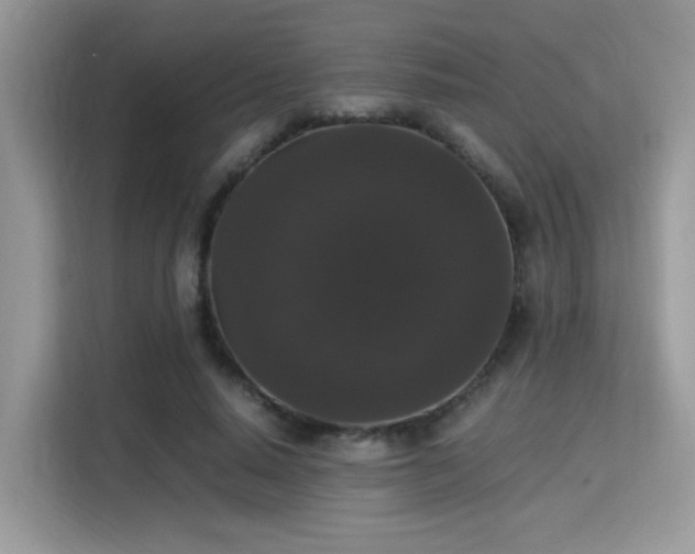 X0000115340640200911091306