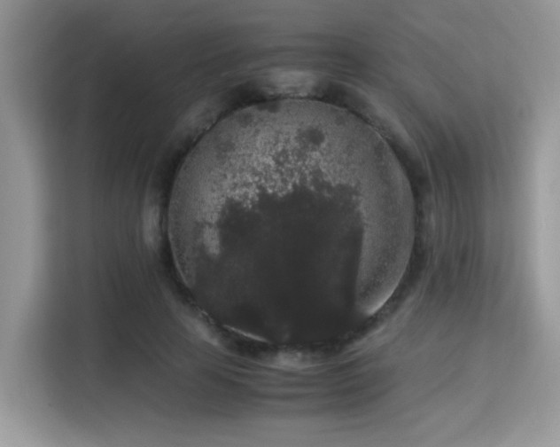 X0000115340641200911091306