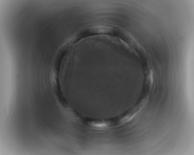 X0000115340643200911091306