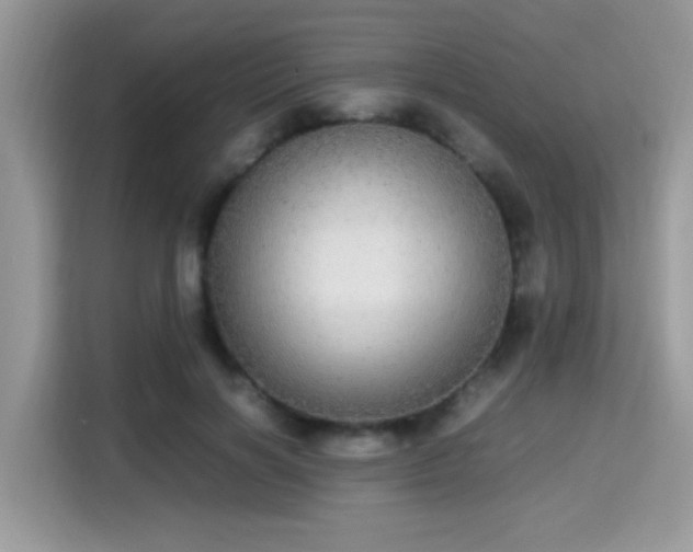 X0000115340646200911091306