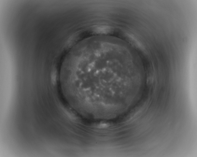 X0000115340647200911091306