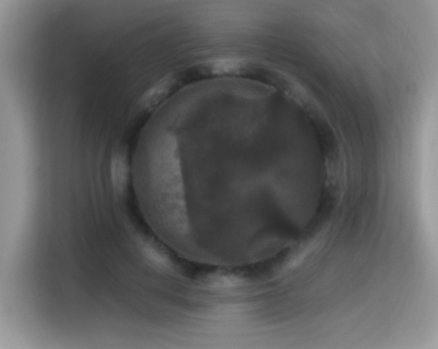 X0000115340648200911091306