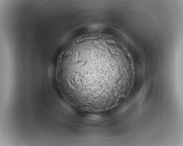 X0000115340649200911091306