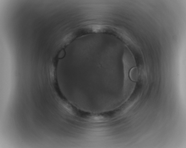 X0000115340650200911091306
