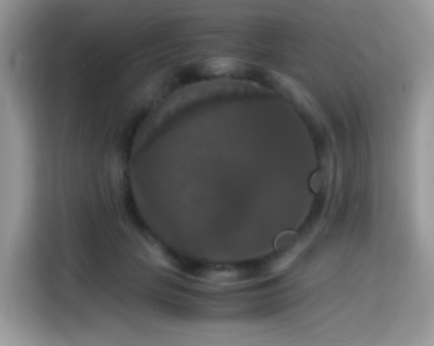 X0000115340653200911091306
