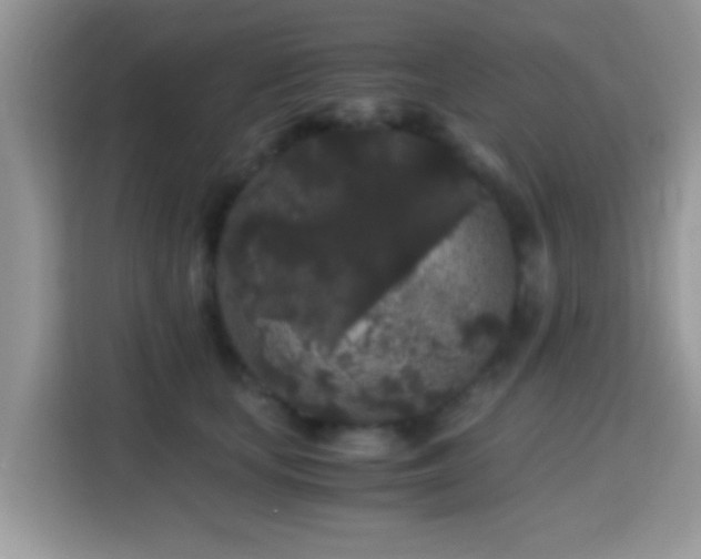 X0000115340659200911091306