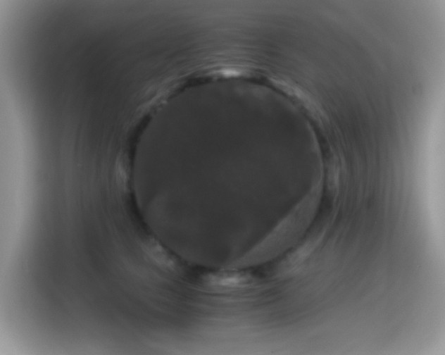 X0000115340661200911091306