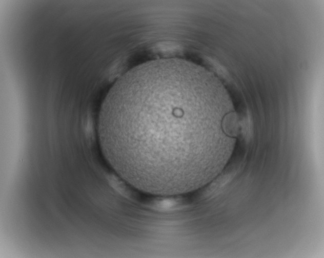 X0000115340662200911091306