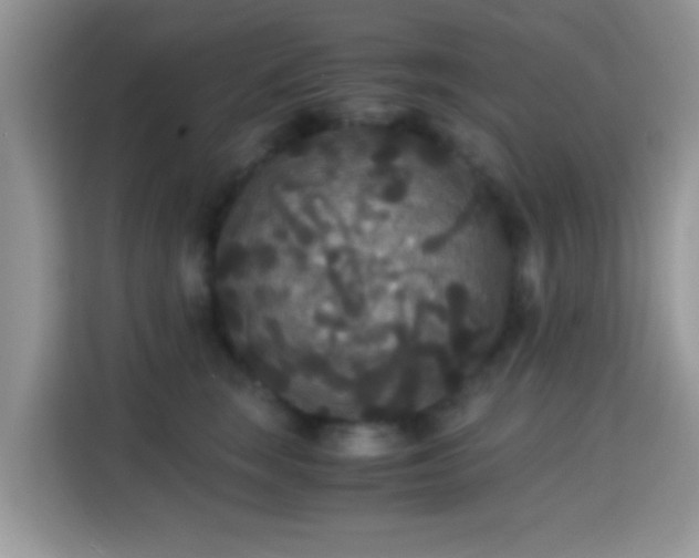 X0000115340663200911091306