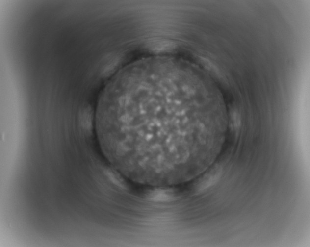 X0000115340664200911091306