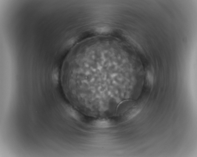 X0000115340668200911091306