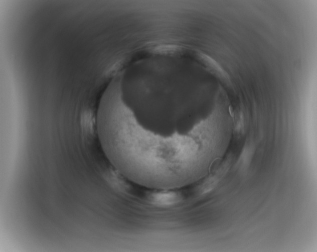 X0000115340669200911091306